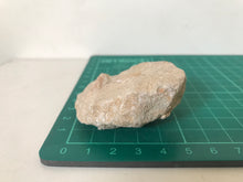 Load image into Gallery viewer, Otodus Sharks Tooth