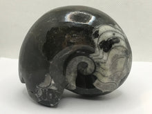 Load image into Gallery viewer, Goniatite fossil ammonite