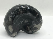 Load image into Gallery viewer, Goniatite ammonite