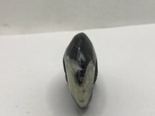 Load image into Gallery viewer, Goniatite ammonite