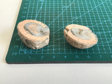 Load image into Gallery viewer, Permian Ammonite