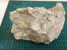 Load image into Gallery viewer, Tremolite