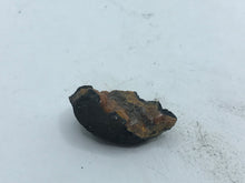 Load image into Gallery viewer, Campylite