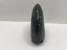 Load image into Gallery viewer, Goniatite