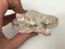 Load image into Gallery viewer, Tremolite