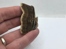 Load image into Gallery viewer, Oakstone