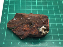 Load image into Gallery viewer, Austinite