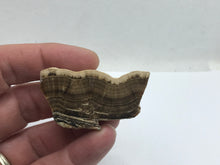 Load image into Gallery viewer, Oakstone