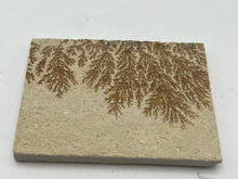 Load image into Gallery viewer, Dendrite