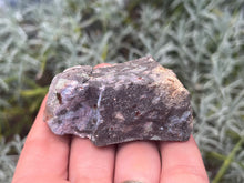 Load image into Gallery viewer, Black Opal