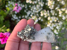 Load image into Gallery viewer, Pyrite,Marcasite and Quartz