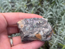 Load image into Gallery viewer, Black Opal