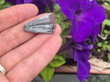 Load image into Gallery viewer, Pyrolusite