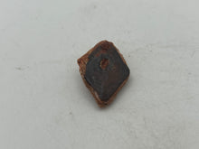 Load image into Gallery viewer, Lepidotes fish scale