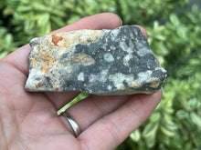 Load image into Gallery viewer, Black Opal