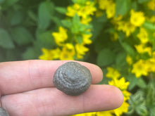 Load image into Gallery viewer, Moqui marbles (shaman stone)