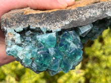 Load image into Gallery viewer, Fluorite
