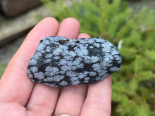 Load image into Gallery viewer, Snowflake obsidian