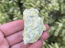 Load image into Gallery viewer, Lizardite