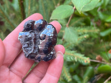 Load image into Gallery viewer, Botryoidal hematite