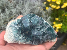 Load image into Gallery viewer, Fluorite