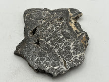 Load image into Gallery viewer, Dendrite