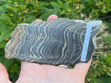 Load image into Gallery viewer, Stromatolite