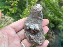 Load image into Gallery viewer, Calcite