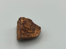 Load image into Gallery viewer, Fossil Jasper