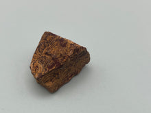 Load image into Gallery viewer, Fossil Jasper