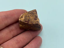 Load image into Gallery viewer, Fossil Jasper