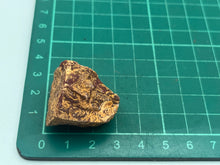 Load image into Gallery viewer, Fossil Jasper