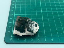 Load image into Gallery viewer, Tree agate