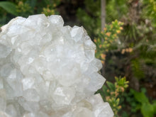 Load image into Gallery viewer, Apophyllite
