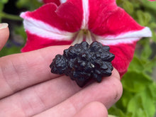 Load image into Gallery viewer, Marcasite & limonite