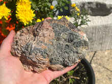 Load image into Gallery viewer, Cerussite and Baryte