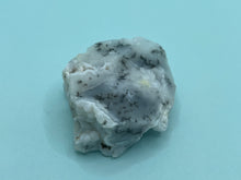 Load image into Gallery viewer, Dendrite opal