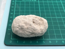 Load image into Gallery viewer, Weevil pixie clogs