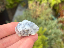 Load image into Gallery viewer, Dendrite opal