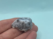 Load image into Gallery viewer, Dendrite opal