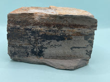 Load image into Gallery viewer, Dendritic Psilomelane/manganese
