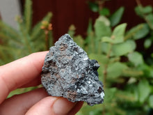 Load image into Gallery viewer, Ramsdellite