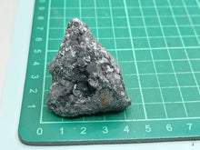 Load image into Gallery viewer, Ramsdellite