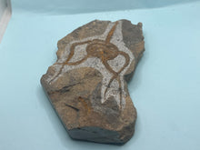 Load image into Gallery viewer, Brittle starfish Ophuroides