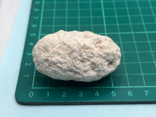 Load image into Gallery viewer, Weevil pixie clogs