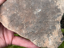 Load image into Gallery viewer, Trilobite trackways (cruziana)
