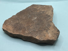 Load image into Gallery viewer, Trilobite trackways (cruziana)