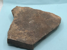 Load image into Gallery viewer, Trilobite trackways (cruziana)