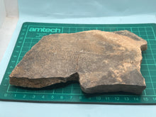 Load image into Gallery viewer, Trilobite tracking (cruziana)