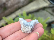Load image into Gallery viewer, Dendrite opal